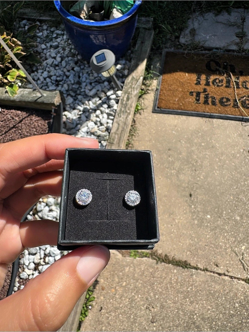 VVS1 Moissanite Halo Stud Earrings